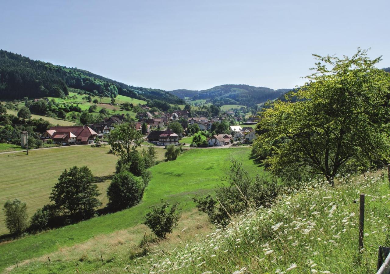 Hotel Badischer Hof 比伯拉赫 外观 照片